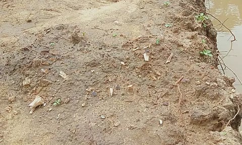 சாலை அமைக்க தோண்டிய பள்ளத்தில் குவியல் குவியலாக எலும்புகள் - ஸ்ரீவைகுண்டம் அருகே பரபரப்பு