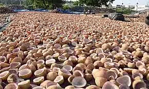 ரூ.6 லட்சத்துக்கு தேங்காய் பருப்பு ஏலம்