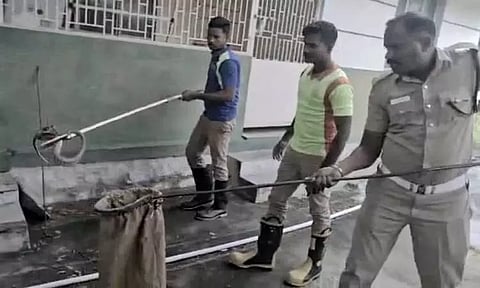 திண்டிவனம் சப்-இன்ஸ்பெக்டர் வீட்டுக்குள் பாம்பு புகுந்ததால் பரபரப்பு
