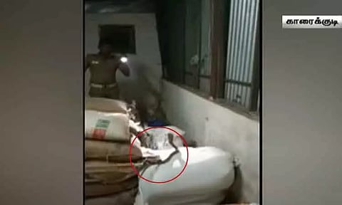 ரேஷன் அரிசி மூட்டைகளை மீட்கச் சென்ற இடத்தில் படமெடுத்து ஆடிய நல்லபாம்பு! பீதியில் உறைந்த அதிகாரிகள்
