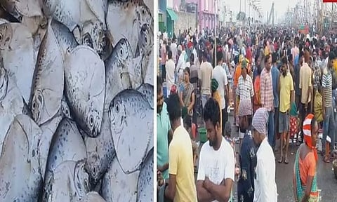 வார விடுமுறை எதிரொலி: சென்னை, காசிமேட்டில் களைகட்டும் மீன் விற்பனை