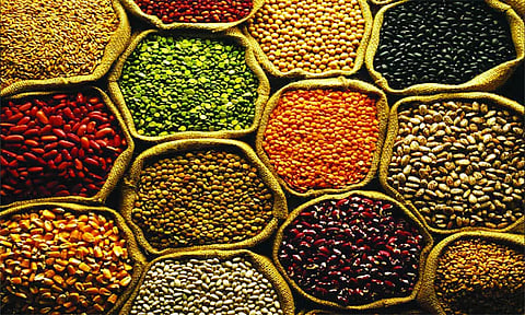 நடப்பு நிதியாண்டில் மத்திய அரசின் உணவு மானியம் ரூ.3 லட்சம் கோடியைத் தாண்டும்