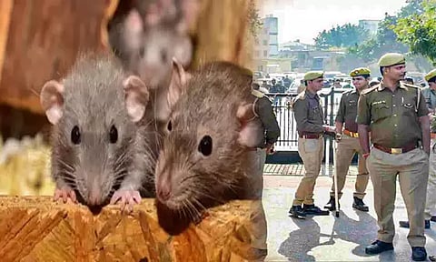 ''581 கிலோ கஞ்சாவை எலி தின்னுடுச்சு..'' அதிர்ச்சி அறிக்கை தந்த போலீஸ்.. ஷாக்கான கோர்ட்டு!