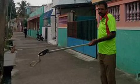 சங்கராபுரத்தில் வீட்டுக்குள் புகுந்த நல்லபாம்பு பிடிபட்டது