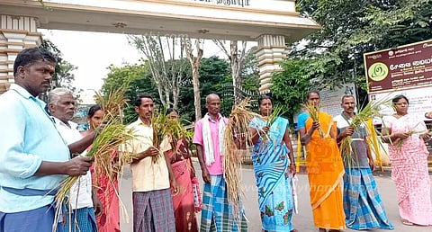 தர்மபுரி கலெக்டர் அலுவலகத்திற்கு அழுகிய நெற்பயிர்களுடன் வந்த விவசாயிகளால் பரபரப்பு இழப்பீடு வழங்க கோரிக்கை