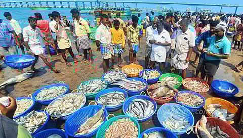 ராமேசுவரம், பாம்பனில் மீன்கள் விலை குறைந்ததால் மீனவர்கள் ஏமாற்றம்