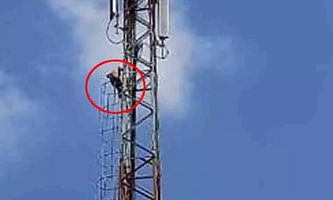 வயலில் சோளப்பயிரை சேதப்படுத்திய விவகாரம்: செல்போன் கோபுரத்தில் ஏறி விவசாயி தற்கொலை மிரட்டல்