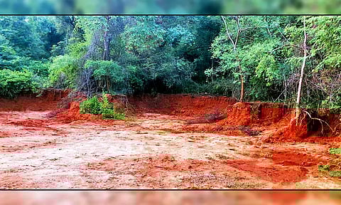 திருவள்ளூர்: கார்த்திகேயபுரம் காப்புக்காட்டில் மணல் கொள்ளை