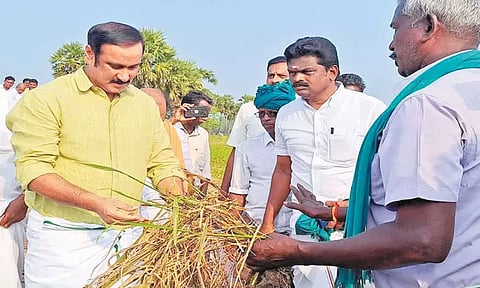 2026-ல் தமிழகத்தில் ஆட்சி அமைப்போம்: நாடாளுமன்ற தேர்தலில் பா.ம.க.வின் வியூகம் வெளிப்படும் - அன்புமணி ராமதாஸ்