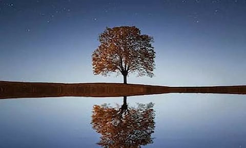 பெங்களூரு கப்பன் பார்க்கில் உள்ள மரங்களின் தகவல்களை திரட்டும் பணிகள் தாமதம்