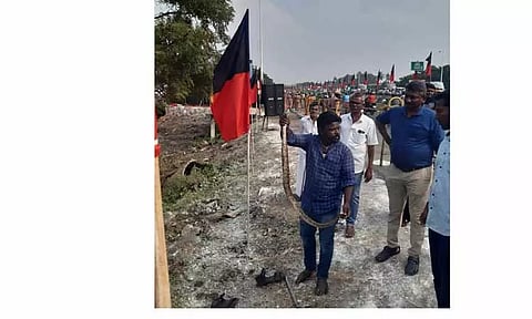 பாம்பு ஏற்படுத்திய பரபரப்பு