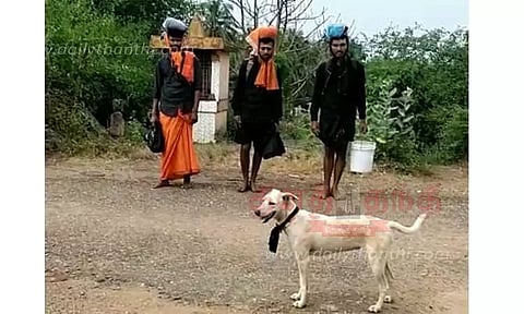 அய்யப்ப பக்தர்களுடன் 300 கிலோ மீட்டர் தூரம் நடந்து வந்த நாய்