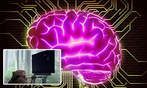 மனித மூளைக்குள் சிப்; விரைவில் பரிசோதனை - எலான் மஸ்க் அறிவிப்பு!
