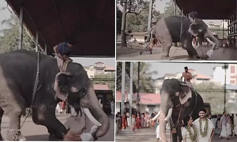 திருமண போட்டோஷூட்டில் பாகனை தலைகீழாக தூக்கிய யானை! அலறியடித்து ஓடிய மணமக்கள்!! வைரல் வீடியோ