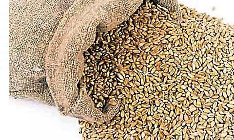 ரேஷன் கடைகளில் கோதுமை கிடைப்பதில்லை