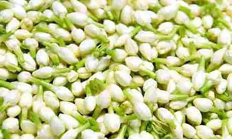 கோப்புப்படம் 