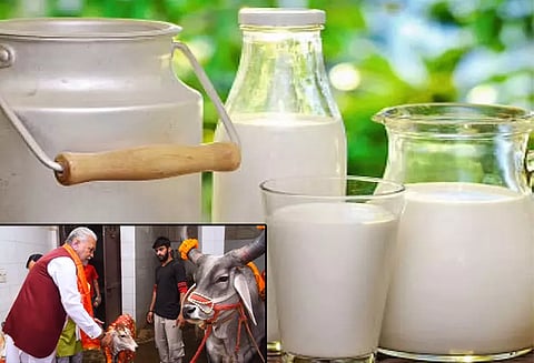 விவசாயிகளின் வருமானத்தை அடுத்த 4 ஆண்டுகளில் இரட்டிப்பாக்குவதே இலக்கு: அமுல் நிறுவனம்