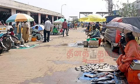 உக்கடம் மார்க்கெட்டில் மீன்கள் விலை குறைந்தது