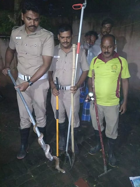 தொழிலாளி வீட்டுக்குள் புகுந்த பாம்பு