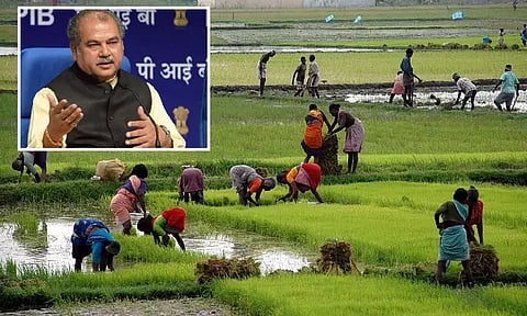 இயற்கை விவசாயத்தை மீண்டும் செயல்படுத்த மத்திய அரசு தீவிர நடவடிக்கை - மத்திய மந்திரி தோமர்