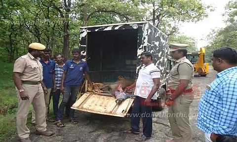 ஊருக்குள் புகுந்த மான் மீட்பு