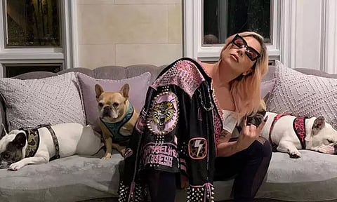 பிரபல பாப் பாடகி லேடி காகாவின் நாய்களை திருட துப்பாக்கியால் சுட்டவருக்கு 21 ஆண்டு சிறை