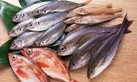 புயல் சின்னம் எதிரொலி:இன்று முதல் மீனவர்கள் மீன்பிடிக்க தடை