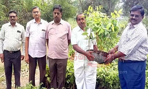 ஈரோடு மாவட்டத்தில் விவசாயிகளுக்கு 2½ லட்சம் மரக்கன்றுகள் வழங்கும் திட்டம்; வேளாண்மை இணை இயக்குனர் தொடங்கி வைத்தார்