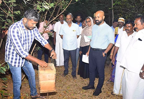 429 ஊராட்சிகளில் நாற்றங்கால் பண்ணை, குறுங்காடுகள்