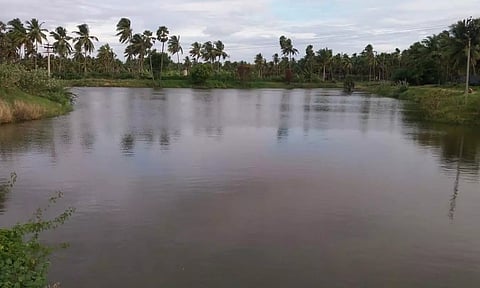 தொடர் பலத்த மழையினால் ரத்தினபுரி குளம் நிரம்பியது