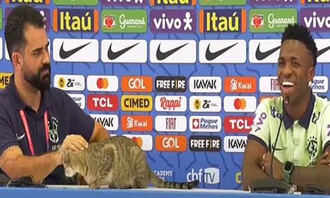 பிரேசில் வீரரின் பேட்டிக்கு வந்த பூனை