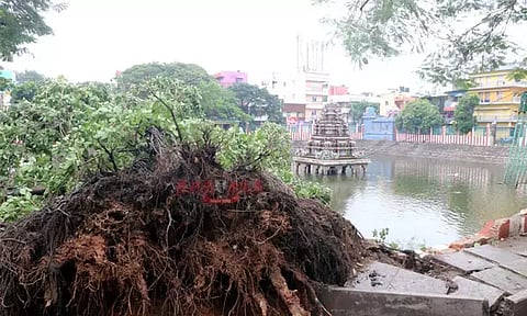 மாண்டஸ் புயலால் ஏற்பட்ட பாதிப்புகள் என்னென்ன? - அமைச்சர் விளக்கம்