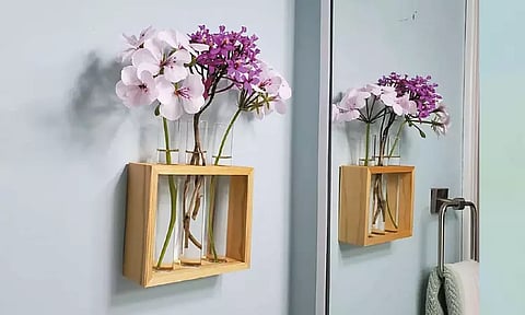 வீட்டிற்குள் பசுமையை வரவேற்போம்