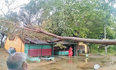 'மாண்டஸ்' புயல் எதிரொலி; வீடுகள், மின்கம்பங்கள் சேதம்