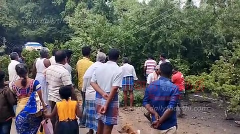 மரம் வேரோடு சாய்ந்து, மின் கம்பி அறுந்து விழுந்தது