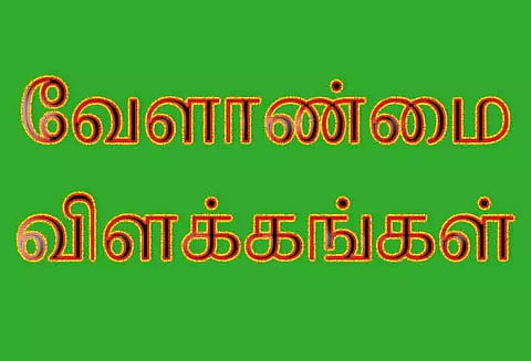சம்பா நெற்பயிரில் பூச்சி தாக்குதலை கட்டுப்படுத்தும் வழிமுறைகள்