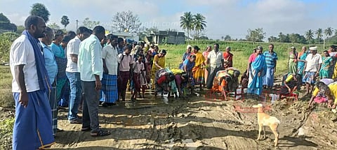 சாலையில் நாற்று நடும் போராட்டம்