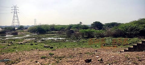 மோகனூர் பகுதியில் காவிரி ஆற்றை ஆக்கிரமித்த சீமைக்கருவேல மரங்கள் அகற்ற நடவடிக்கை எடுக்கப்படுமா?