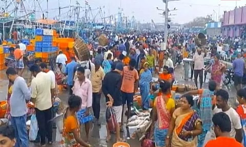 கார்த்திகை மாதம் நிறைவு - காசிமேட்டில் களைகட்டும் மீன் விற்பனை