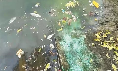 நந்தீஸ்வரர் கோவில் குளத்தில் செத்து மிதக்கும் மீன்கள்