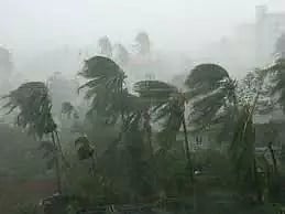 தூத்துக்குடி மாவட்டத்தில்பலத்த காற்று வீசியது