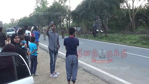 ஆசனூர் சாலையில் கும்கி யானைகள் முன் செல்பி எடுத்த சுற்றுலா பயணிகள்