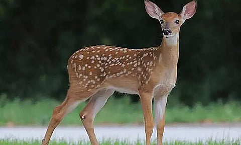 கோப்புப்படம்