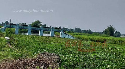 தண்ணீருக்கு பதிலாக ஆகாயத்தாமரைகளாக காட்சி அளிக்கும் ஆறுகள்