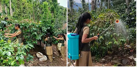 வேளாண் கல்லூரி மாணவிகள் பயிற்சி