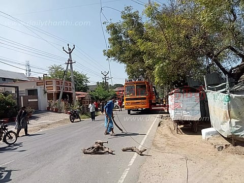 மர 'லோடு' உரசியதால் மின்கம்பி அறுந்தது