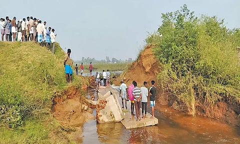வாலாஜாபாத் தாலுகாவில் ஏரிக்கரை உடைந்து வெளியேறும் தண்ணீரால் பயிர்கள் சேதம்