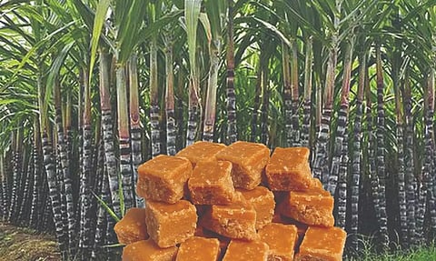 பொங்கல் பரிசில் கரும்பு, வெல்லத்துக்கு இடம் இல்லை