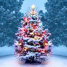 தேவாலயங்களில் மக்கள் சிறப்பு பிரார்த்தனை