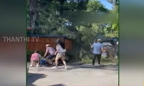 ஜப்பானிய தோட்டத்தில் முறிந்து விழுந்த ராட்சத மரம் - 2 சுற்றுலாப்பயணிகள் படுகாயம்